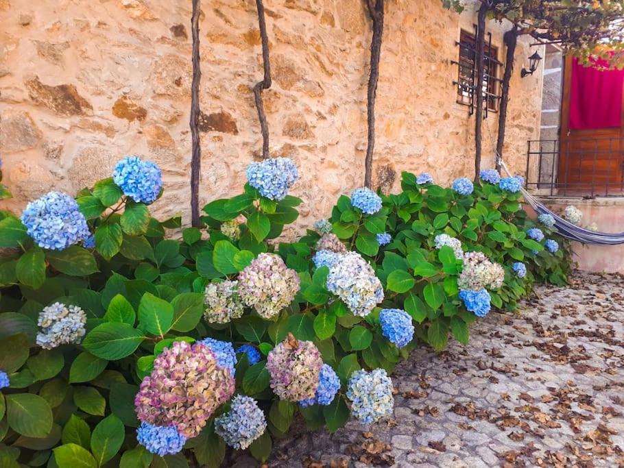 Quintinha De Santiago Villa Oliveira de Azemeis Dış mekan fotoğraf